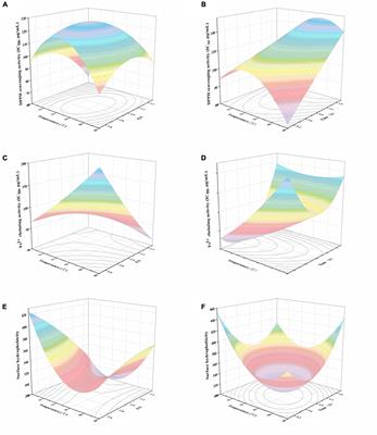 Exploring the Antioxidant and Structural Properties of Black Bean Protein Hydrolysate and Its Peptide Fractions